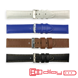 Diloy Watch Straps and Buckles